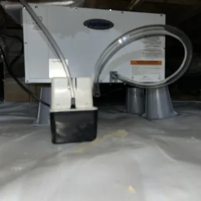 Crawl Space Dehumidifier