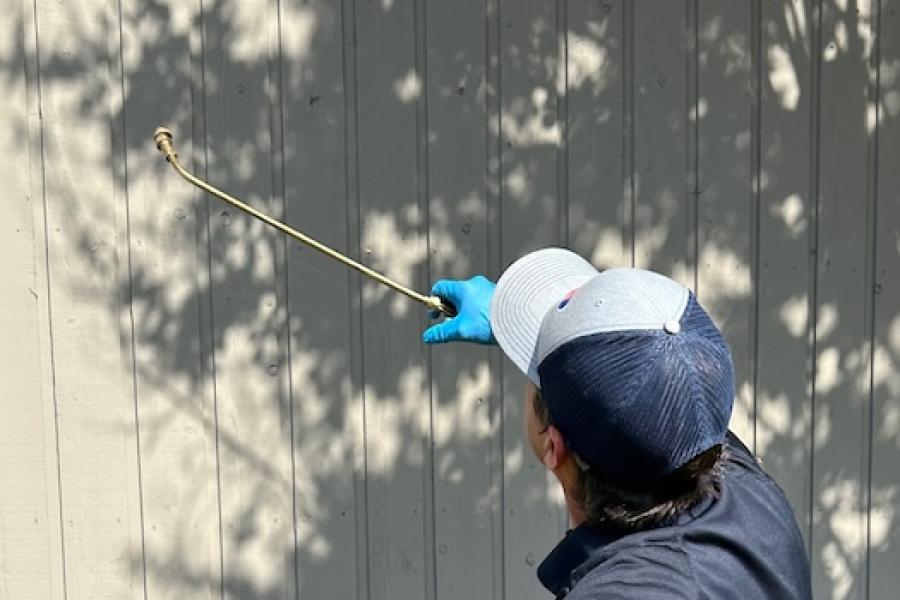 Spraying