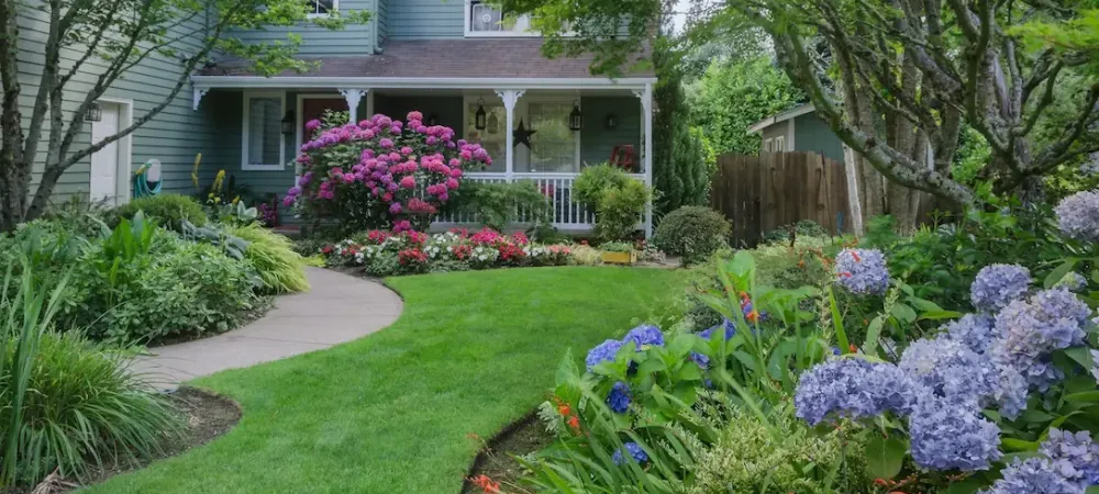 blue house with a lawn covered in beautiful plants