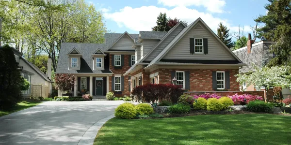 Termite Treatment