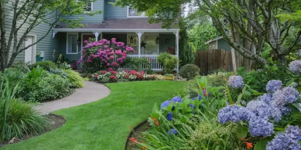 blue house with a lawn covered in beautiful plants